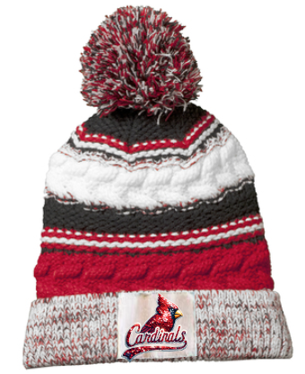 Michigamme Elementary unisex chunky pom beanie